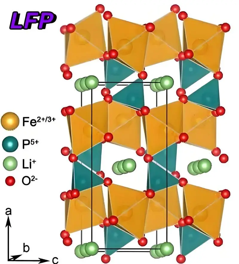 LFP