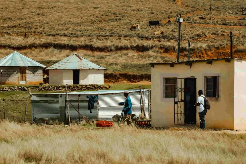South-Africa-Farm-Labor